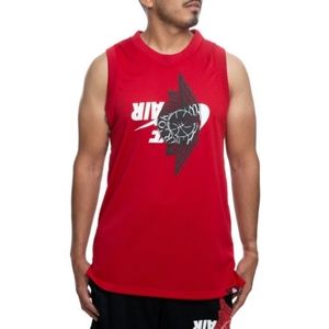 Nike Air Jordan Jersey